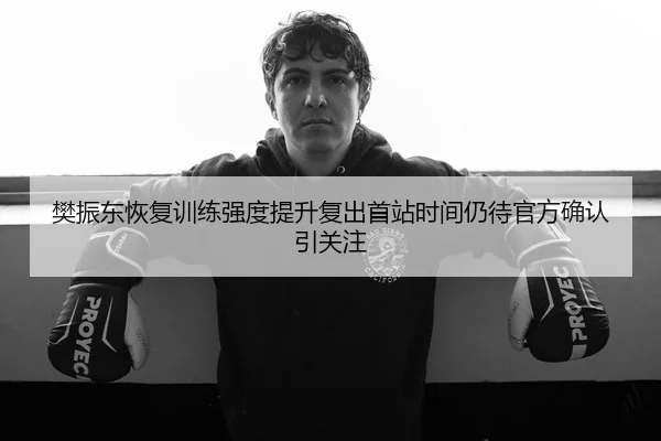樊振东恢复训练强度提升复出首站时间仍待官方确认引关注